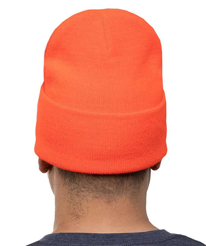 Watch Beanie 2.0